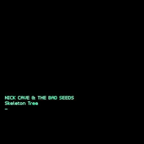 nick cave and the bad seeds skeleton tree album cover